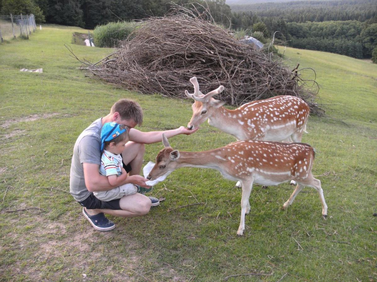 Ferienhaeuser Zur Schaeferei Mitwitz Esterno foto