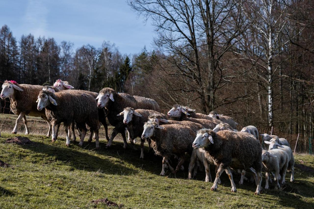 Ferienhaeuser Zur Schaeferei Mitwitz Esterno foto