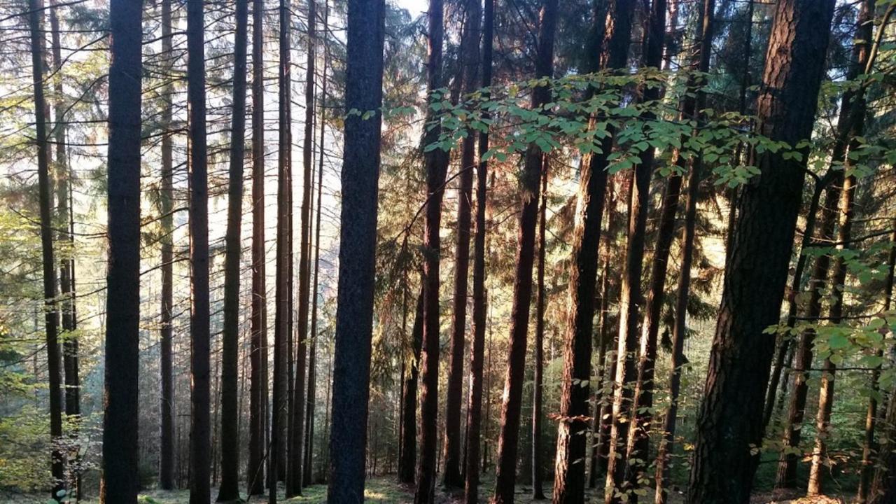 Ferienhaeuser Zur Schaeferei Mitwitz Esterno foto