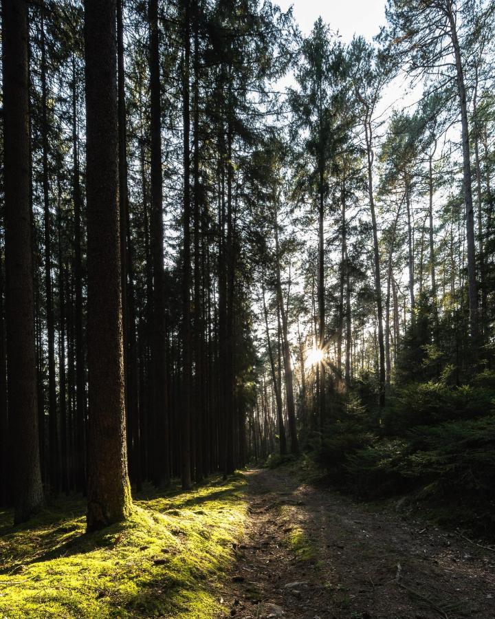 Ferienhaeuser Zur Schaeferei Mitwitz Esterno foto