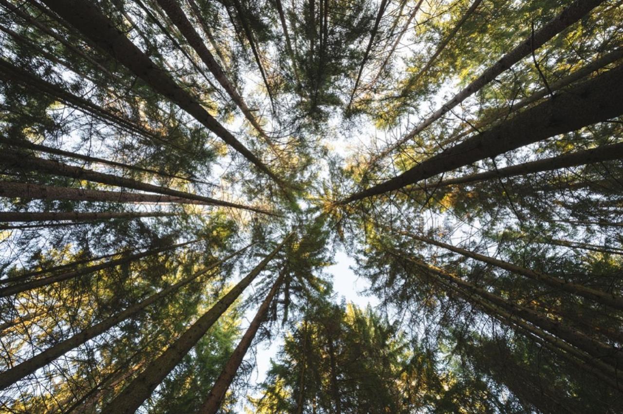 Ferienhaeuser Zur Schaeferei Mitwitz Esterno foto